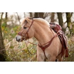Edix ED4 Rose Hackamore Bridle Edix ED4 Rose Hackamore Bridle